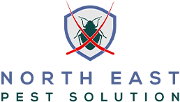 North East