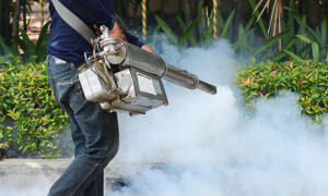 exterminator spraying at property for mosquito control harrison me 1