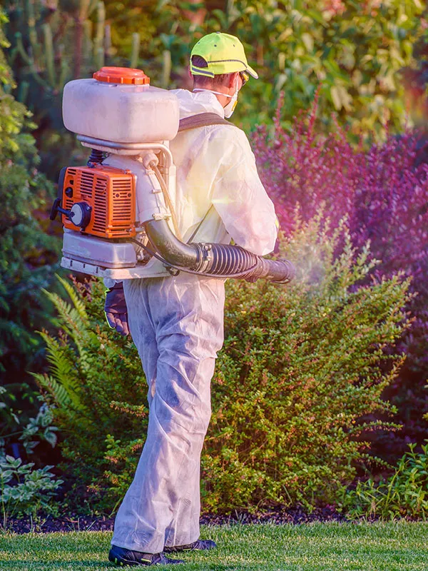 exterminator at house backyard spraying insecticide for bug control harrison me